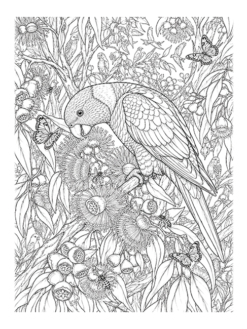 Australian Wildlife preview page 1